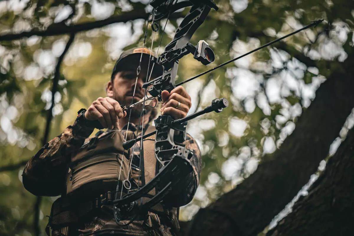 bowhunter connecting release to bow in treestand