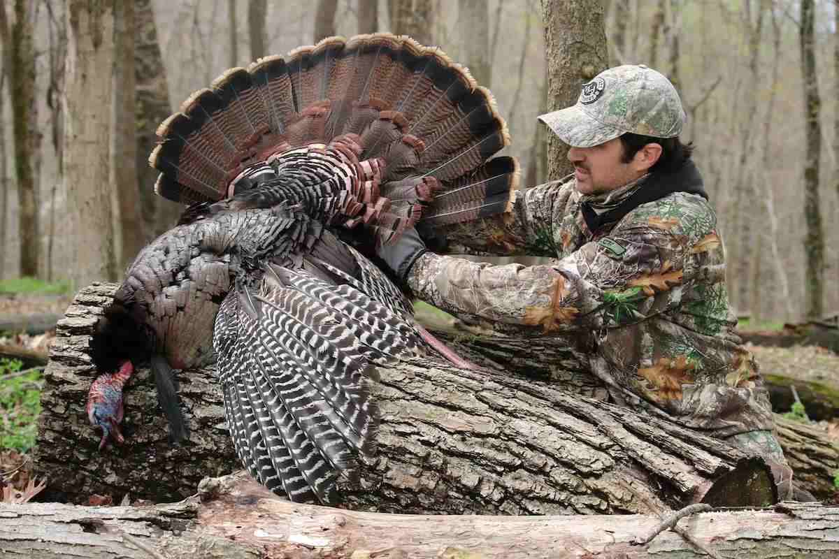 Bow vs. Shotgun: Which is Better for Your Turkey Hunting?