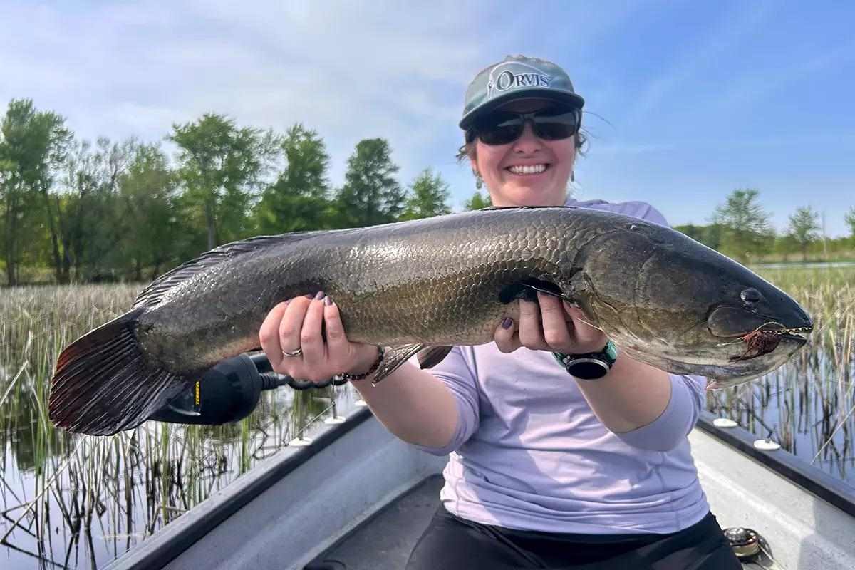 In Praise of Bowfin - In-Fisherman