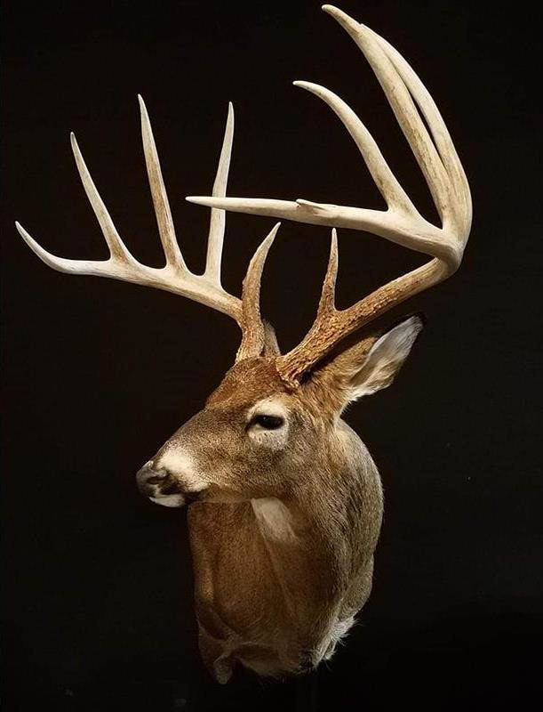 Iowa Oven Mitt – Doe A Deer