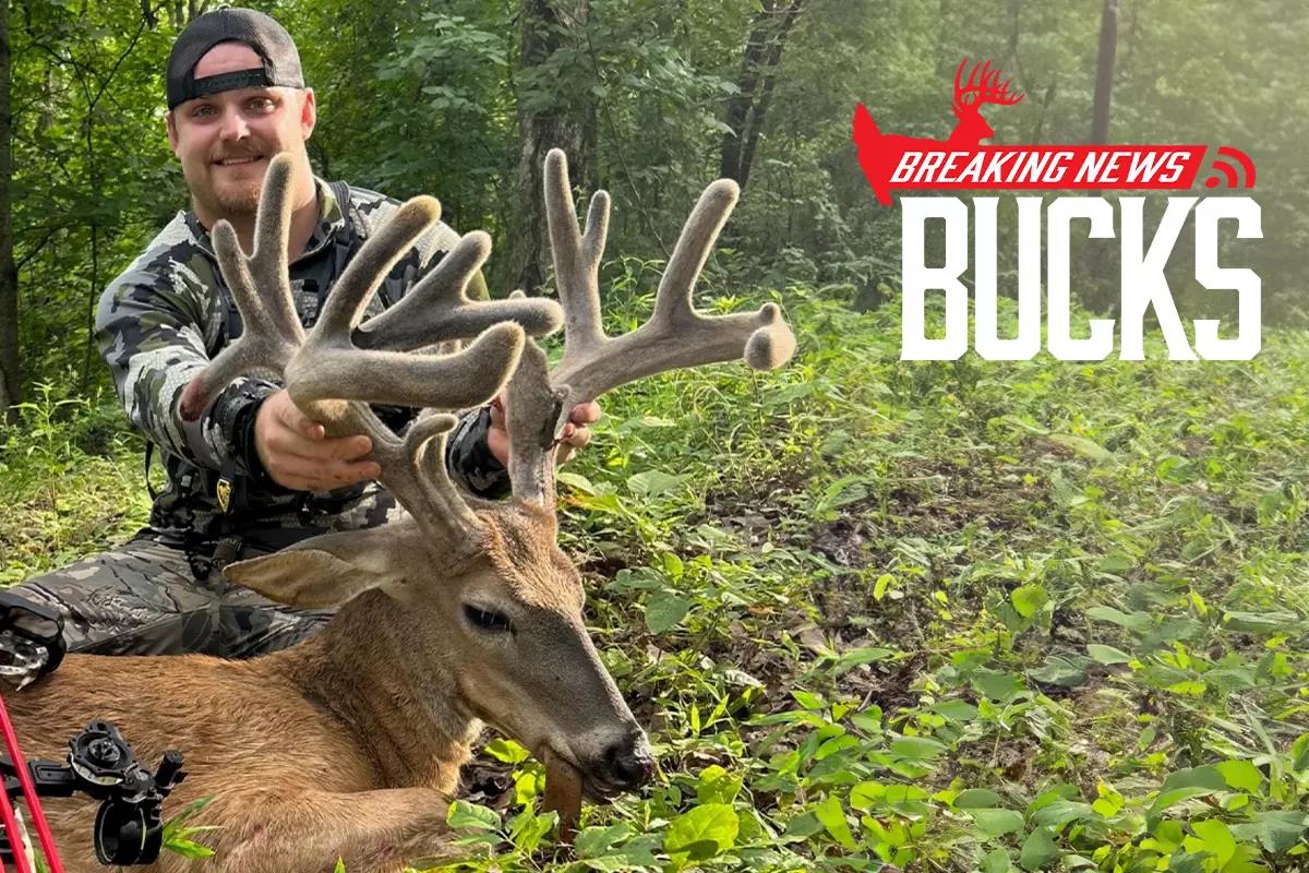 RARE Cabelas Wild Bucks Baseball Large Button Jersey Green Deer Hunting  Since 61
