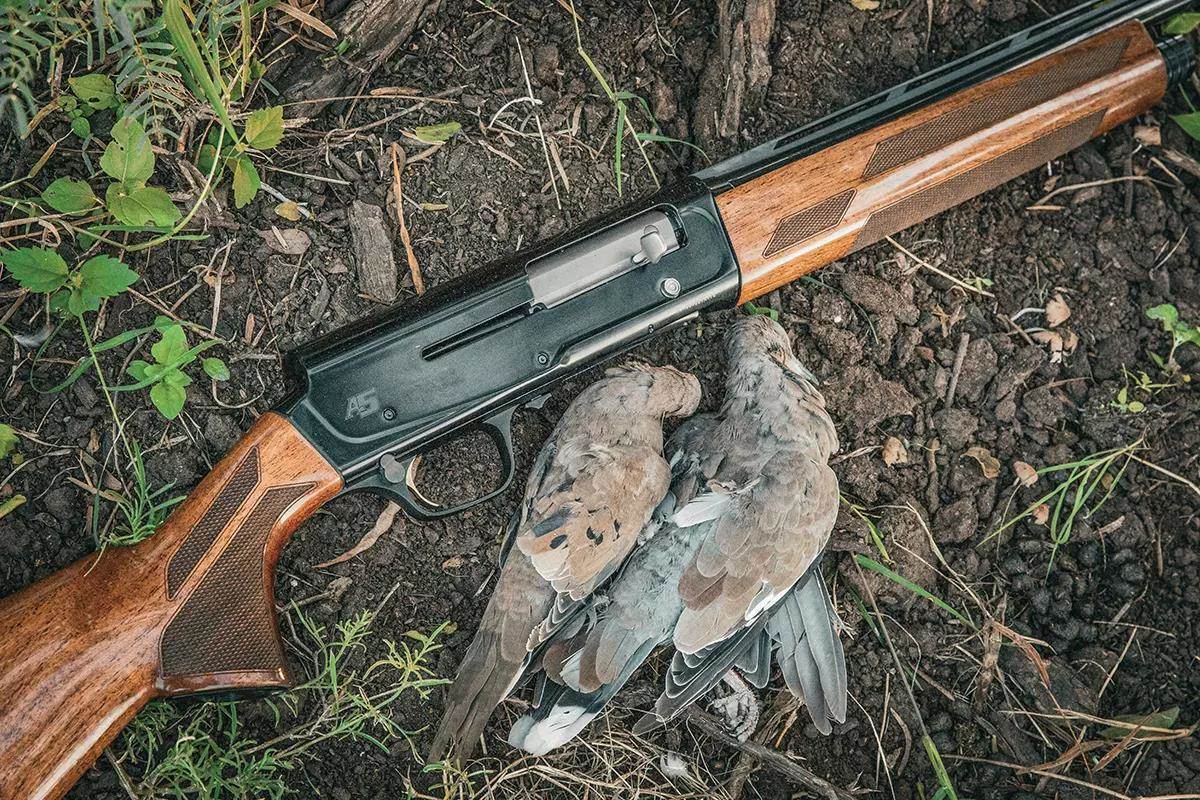 Shotgun test: Browning A5 in 20 gauge