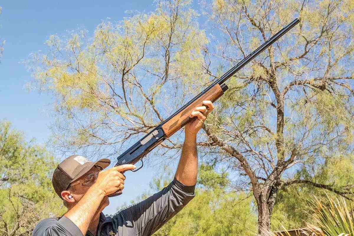 Texas Dove Hunting