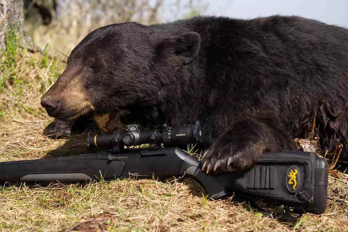 Spr 800 Rifle Browning LH X-Bolt 2 Speed SPR Rifle: Field Tested and Appro - Petersen ...