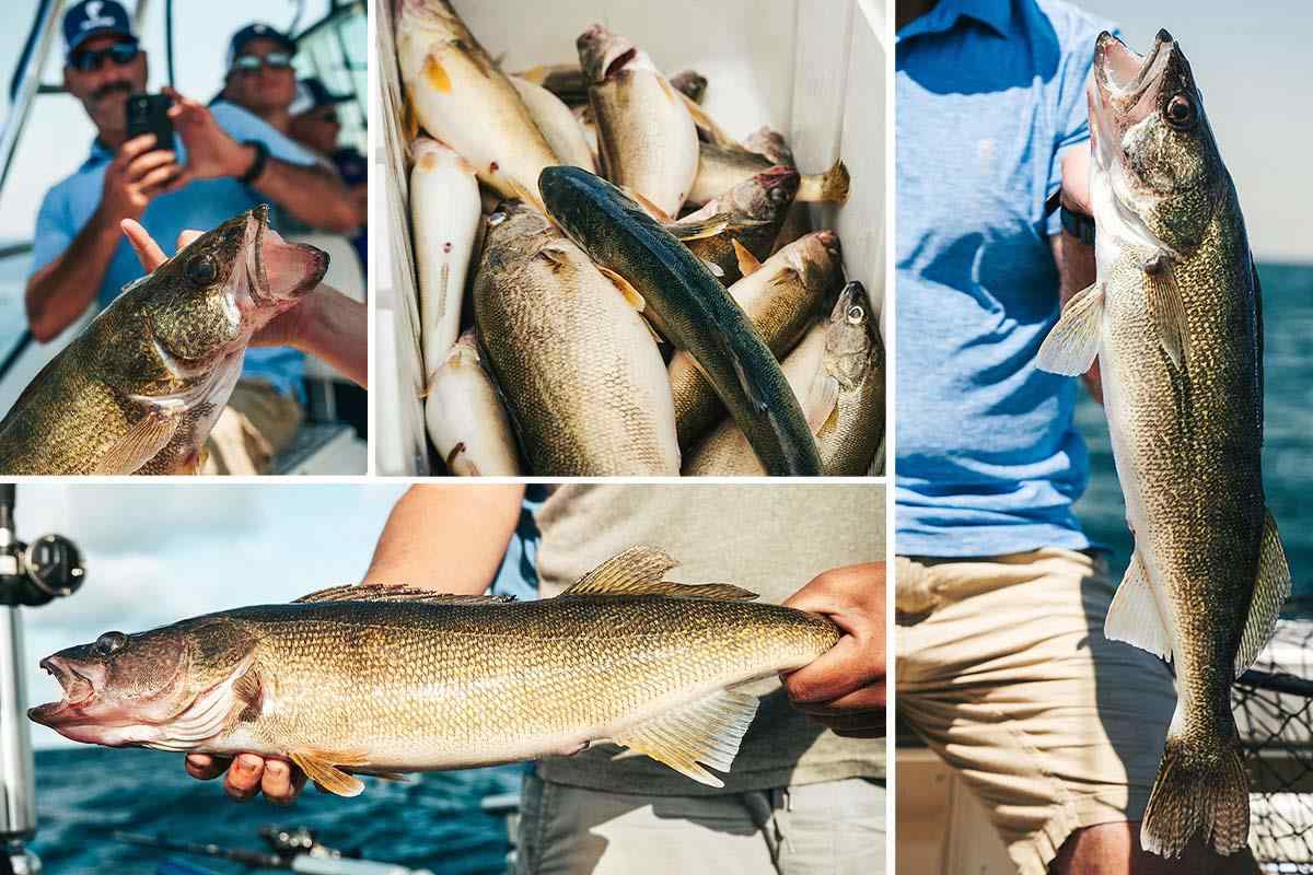 How to Fish for Walleye on Lake Erie: The Complete Guide for 2023