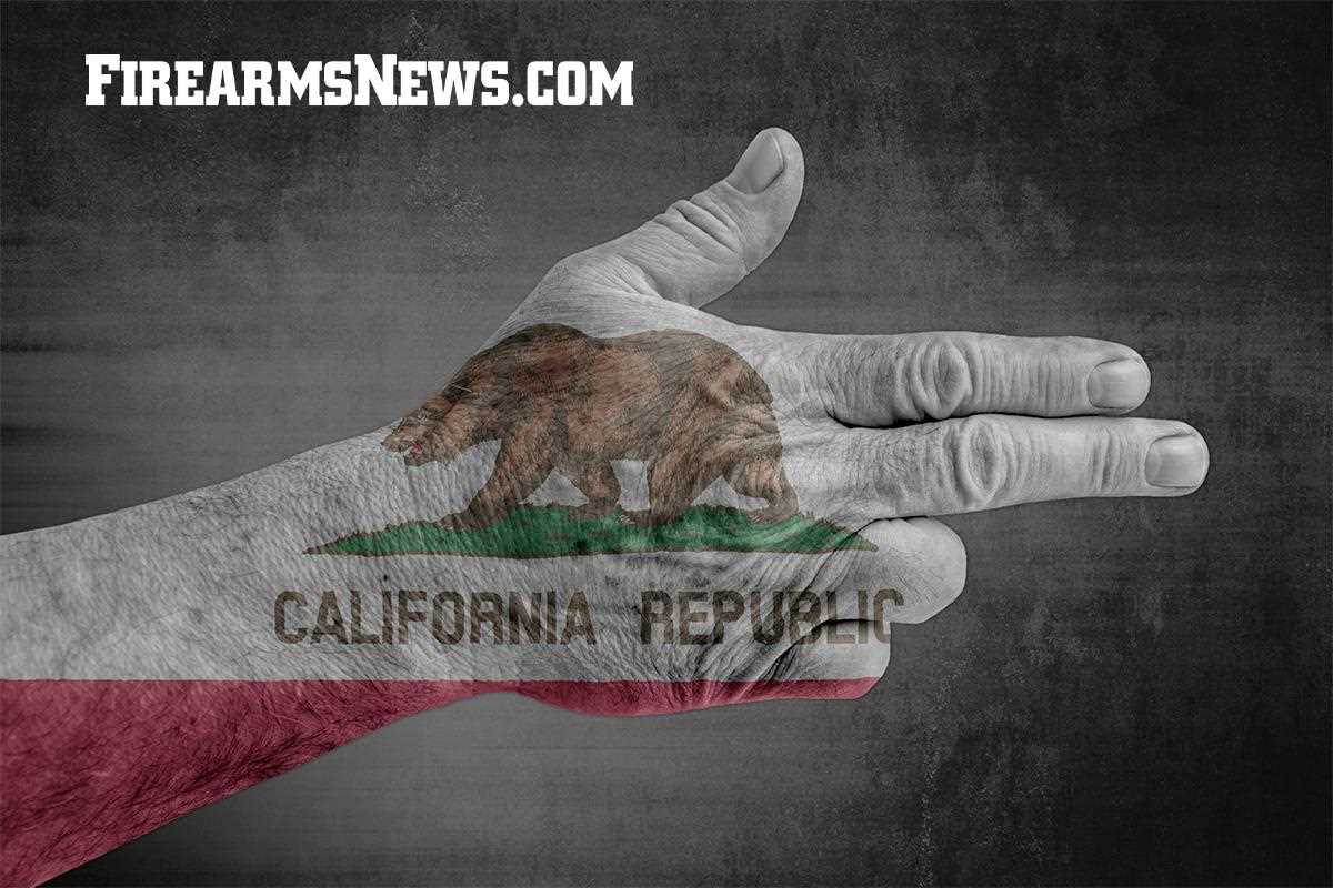 California Libertarian Party Condemns Gov. Newsom's Proposed 28th Amendment