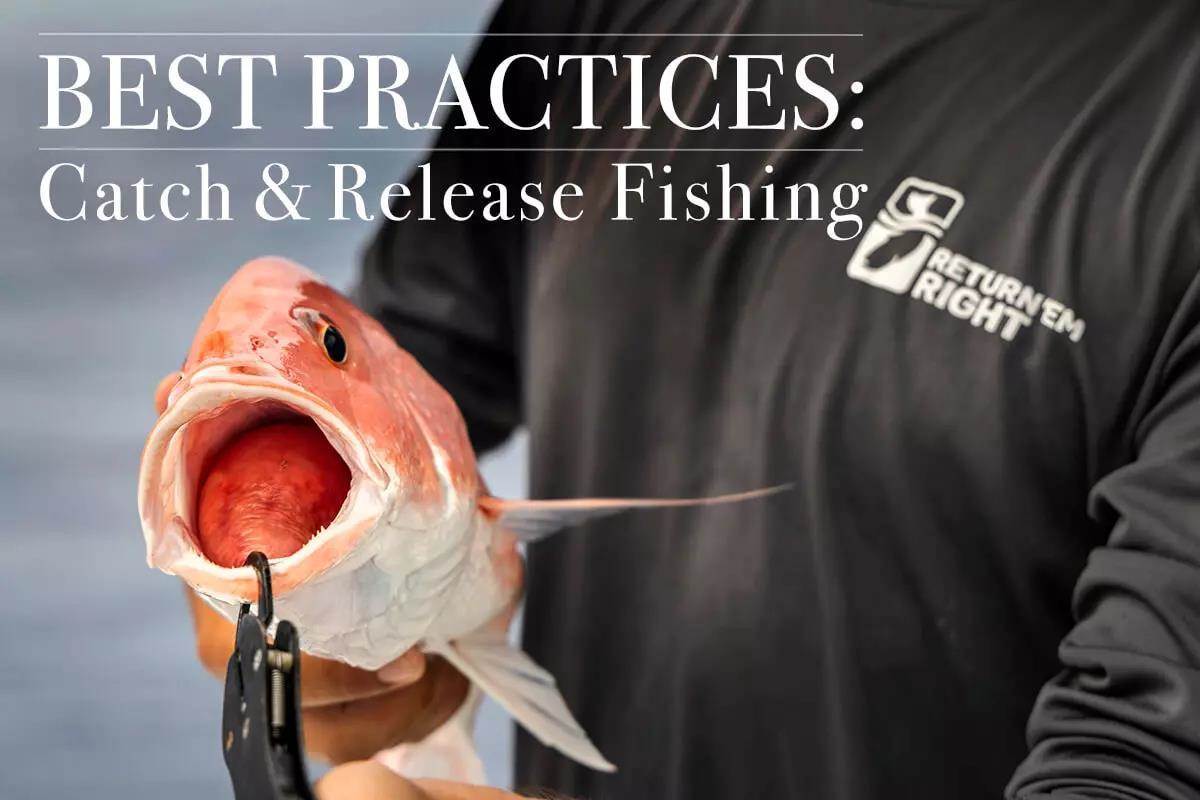 Catch & Release Fishing Best Practices Manual Available Now