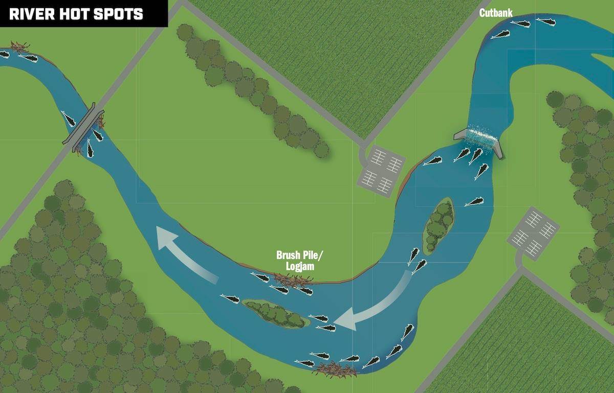 Catfish Rigs for Rivers Taught by the Experts