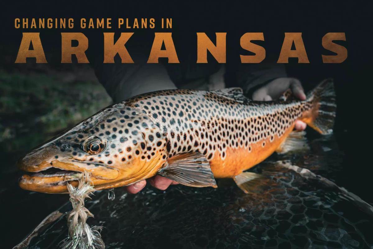 Lessons from Arkansas: Upping Your Game on Big Tailwaters wi - Fly