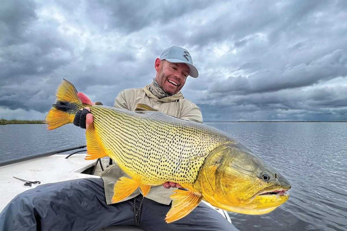 Chasing Gold: Predatory Encounters in the Iberá Marsh and Up - Fly Fisherman
