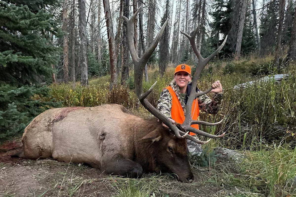 Colorado Hunting Tags: Application Strategy & Big-Game Opportunities - Petersen's Hunting