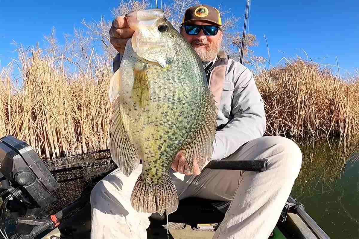 Colorado State-Record Crappie Caught from a Kayak