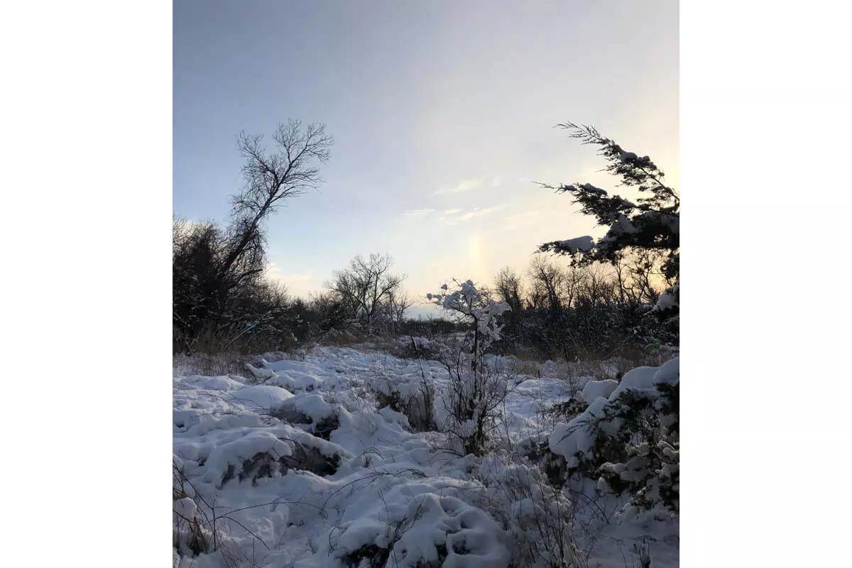 hunting ground covered in snow