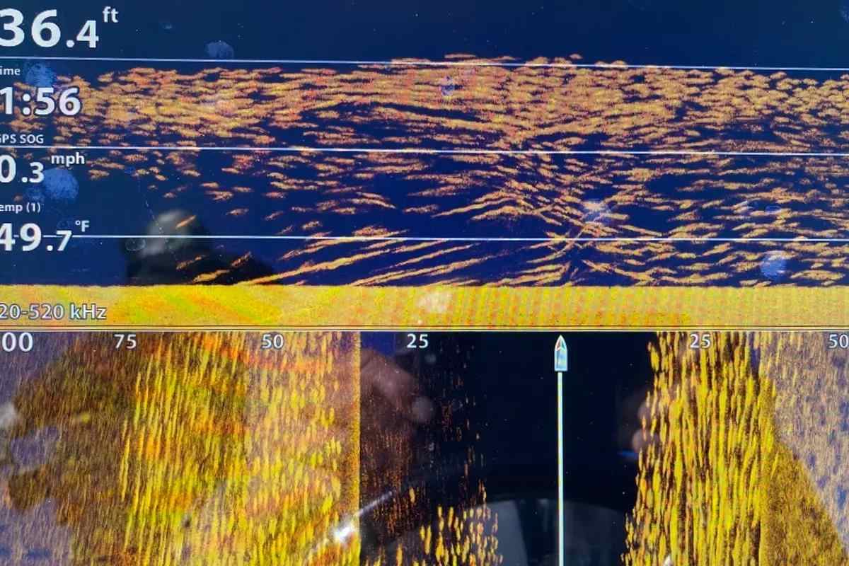 A view of a fish finder showing the location of a school of fish. 