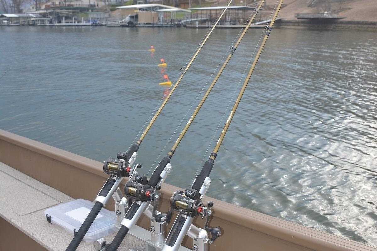 EVERYTHING YOU NEVER KNEW ABOUT LINE COUNTER REELS - Mark Romanack – Great  Lakes Angler