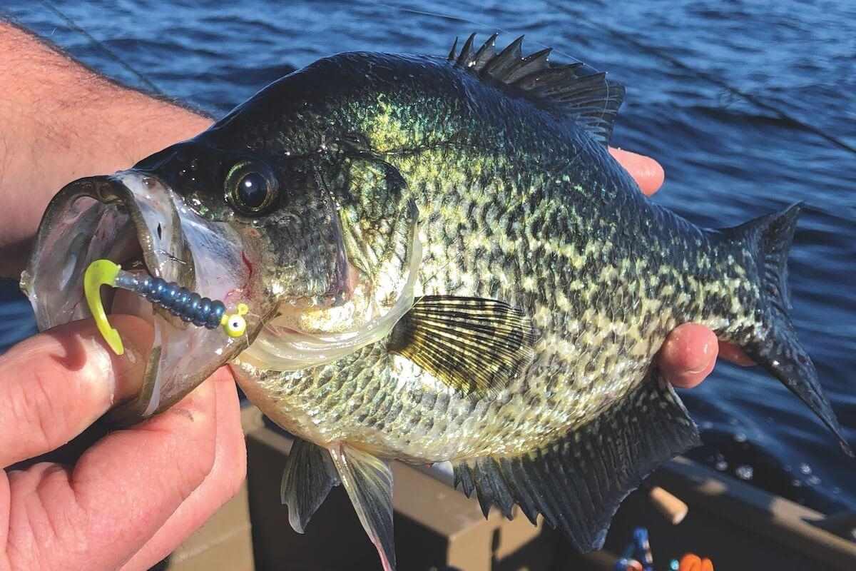 trolling for crappie