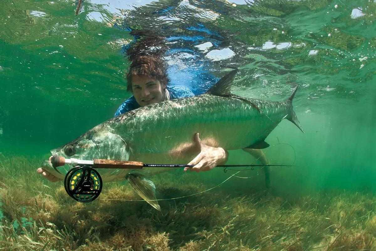 Sport of spear fishing gains in popularity among Marines and