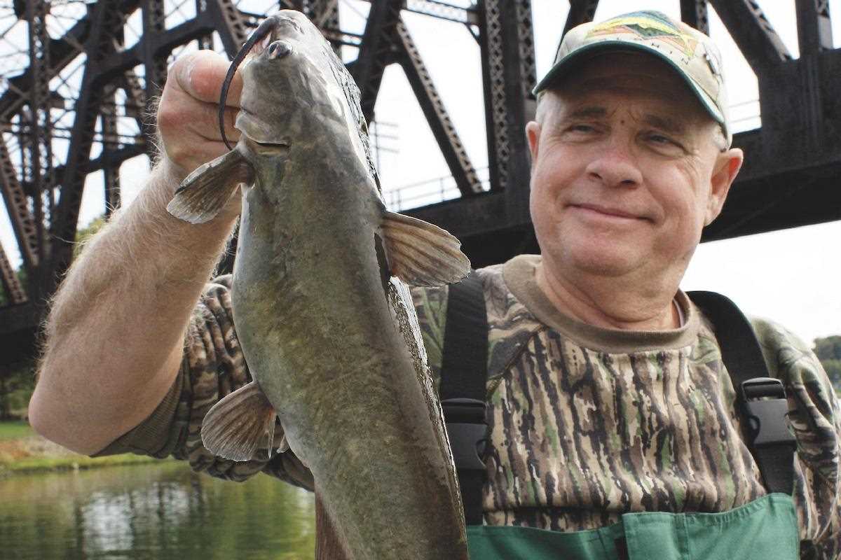 Dog-Days Cats: Catch More Late-Summer Flatheads, Channels - Game