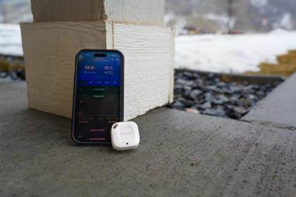 Dog Training Tools for Summer Dog Training