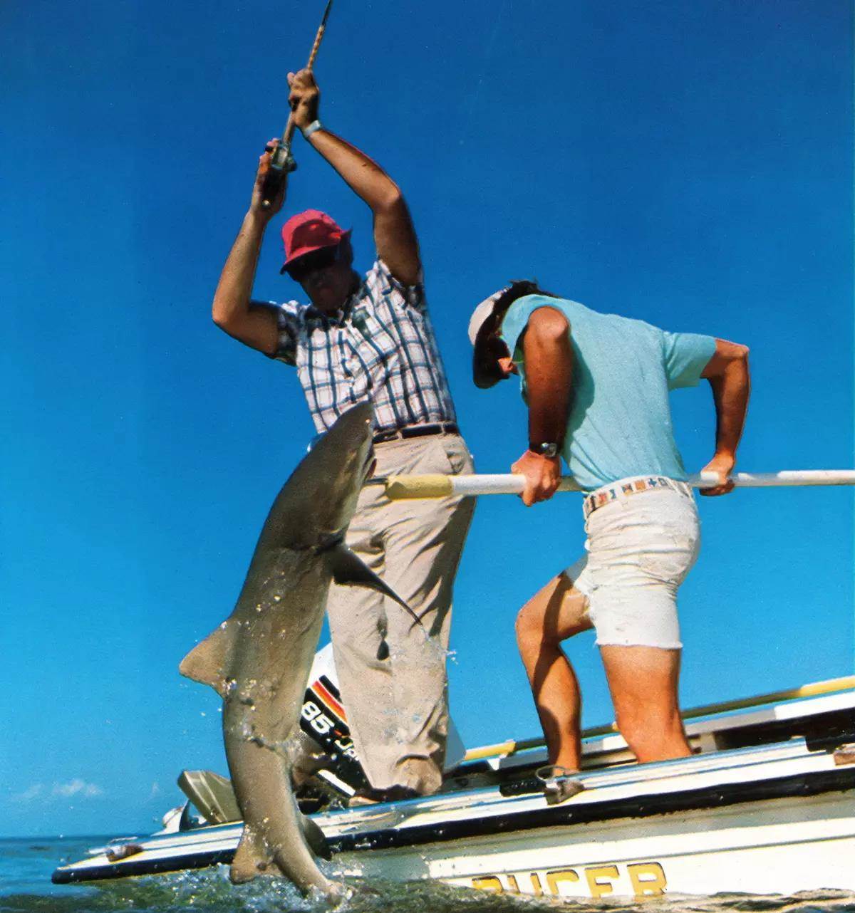 Shark Fly Fishing on the Flats - Fly Fisherman