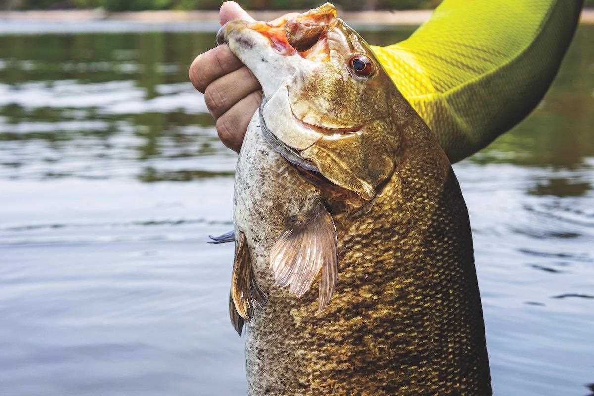 It's Topwater Time for Wisconsin Bass and Pike - MidWest Outdoors