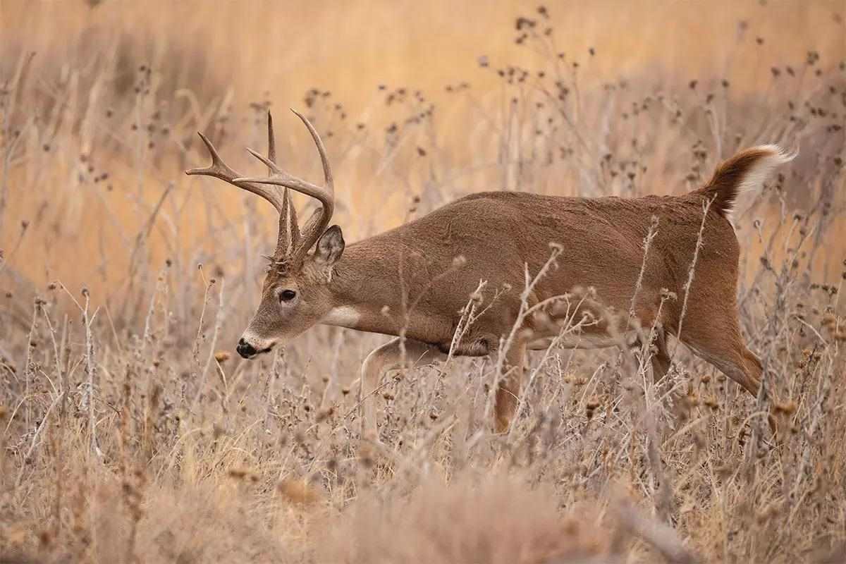 How To Master Travel Corridors: Connecting The Dots