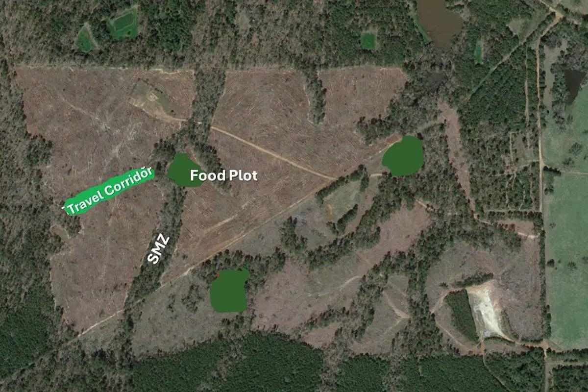 Aerial view of property