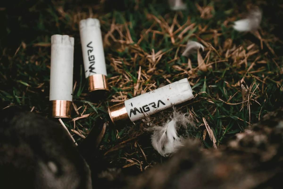 Spent shotgun hulls.