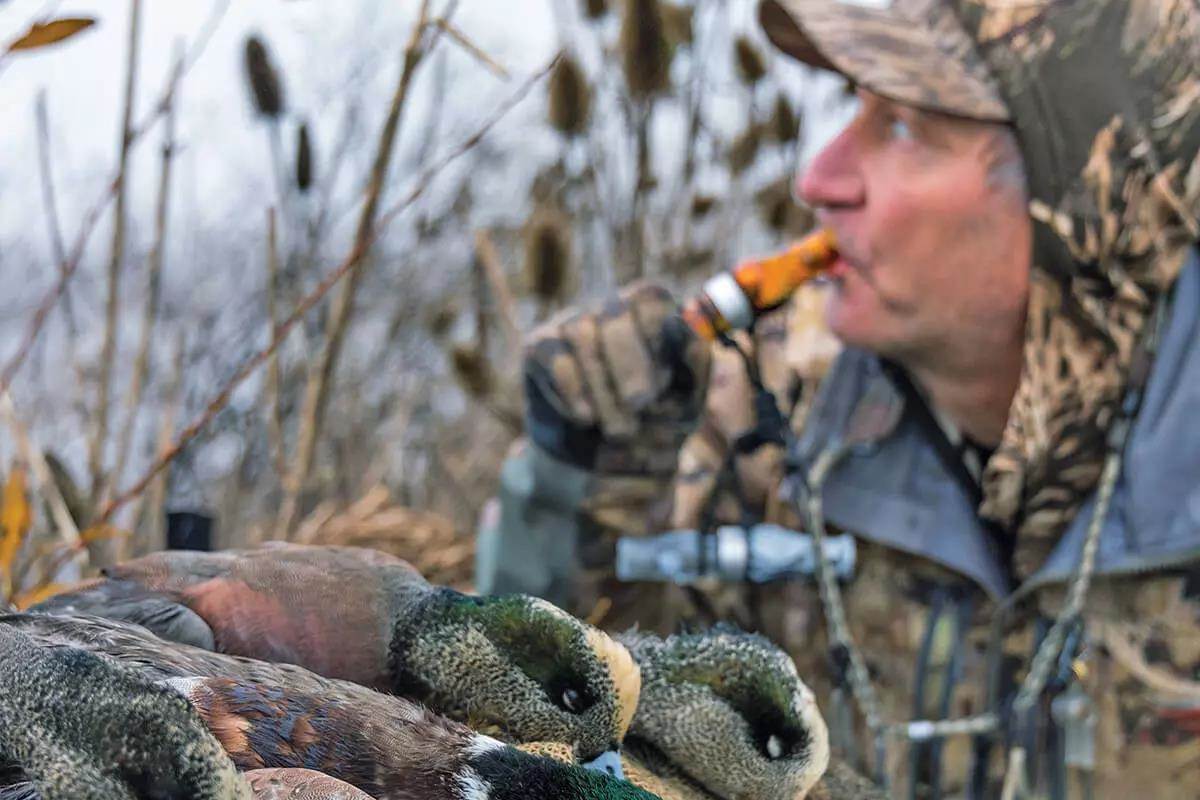 ducks and hunter