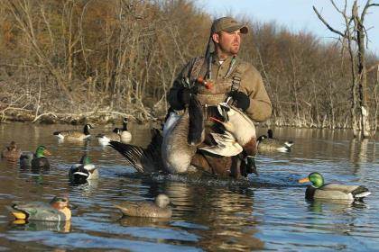Survey says: Ducks down 6 percent across North America - Duluth