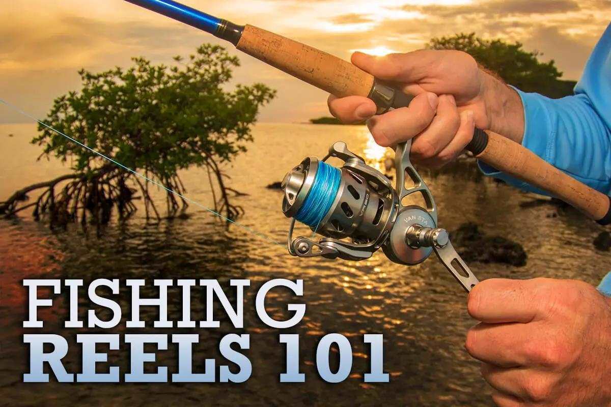 Everything You Need to Know About Fishing Reels