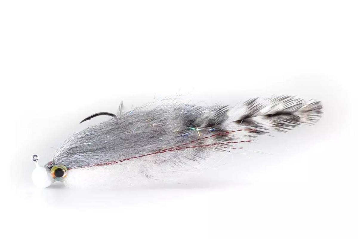 Studio photo of a black Pine Squirrel Leech fly
