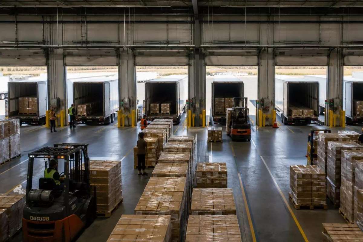 Exploring AmmoVault: A Flexible Way to Build an Ammunition Reserve - Petersen's Hunting