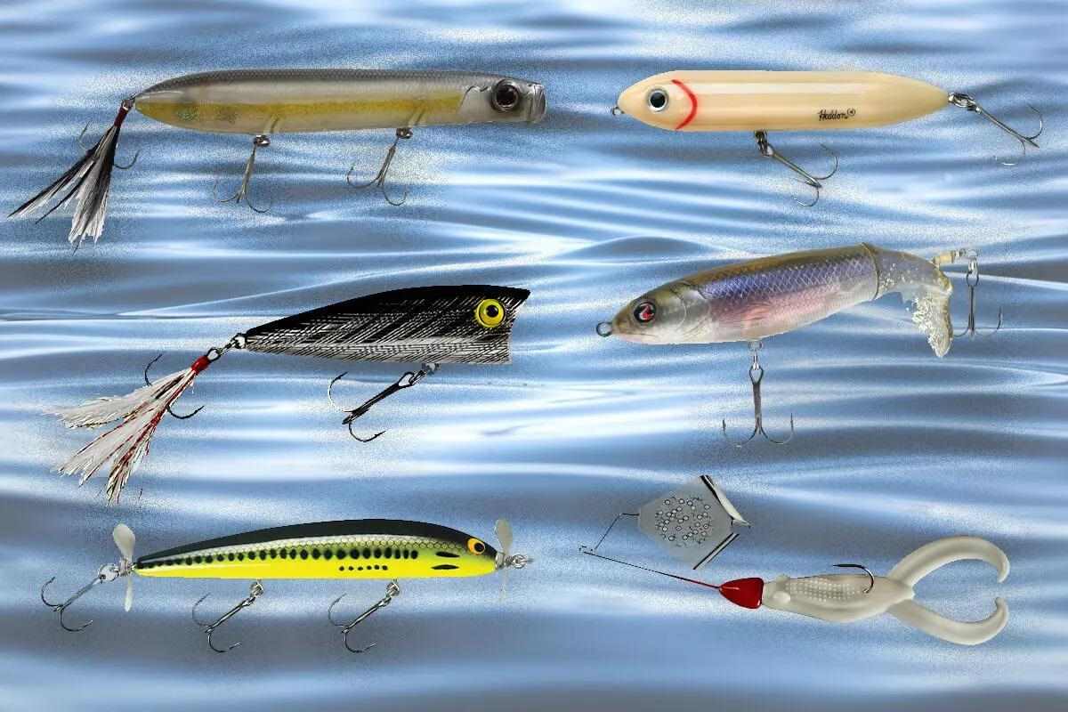 Crash the Surface with Topwater Lures that Fall Bass Love - Game