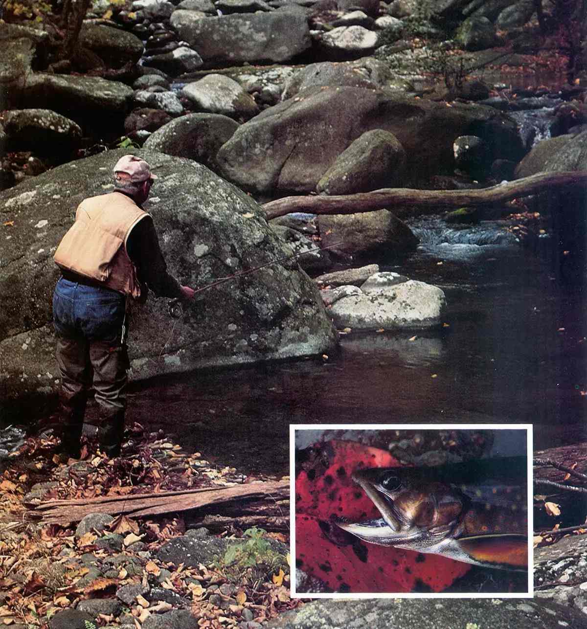 Fly Fisherman Throwback: Fall Mountain Fishing