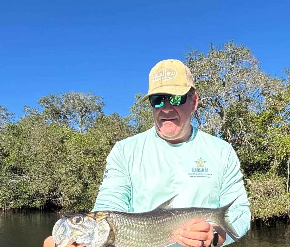 Juvenile tarpon in the backwater canals
