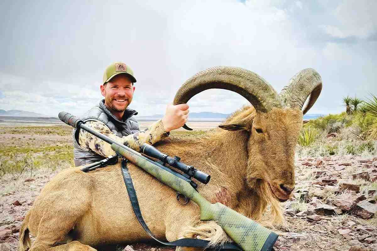 hunter with aoudad