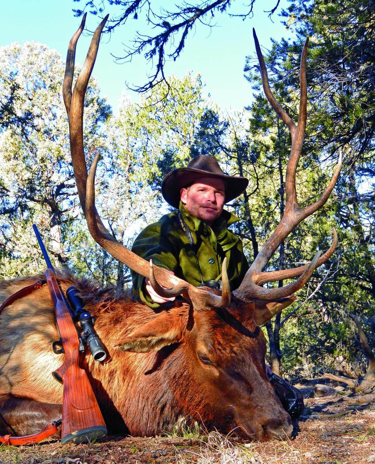 How to Properly Field Judge a Buck - Petersen's Bowhunting