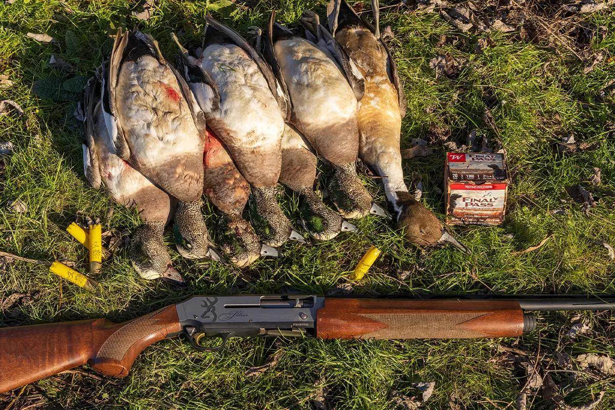 A pile of ducks, shotgun, ammo box and spent shells lie on the ground. 