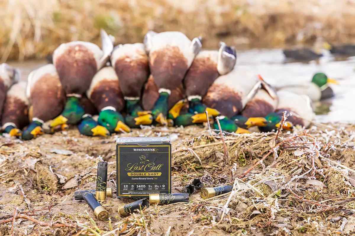 A box of hunting ammo and spent shotshells lie on the ground with a pile of dead mallards behind. 