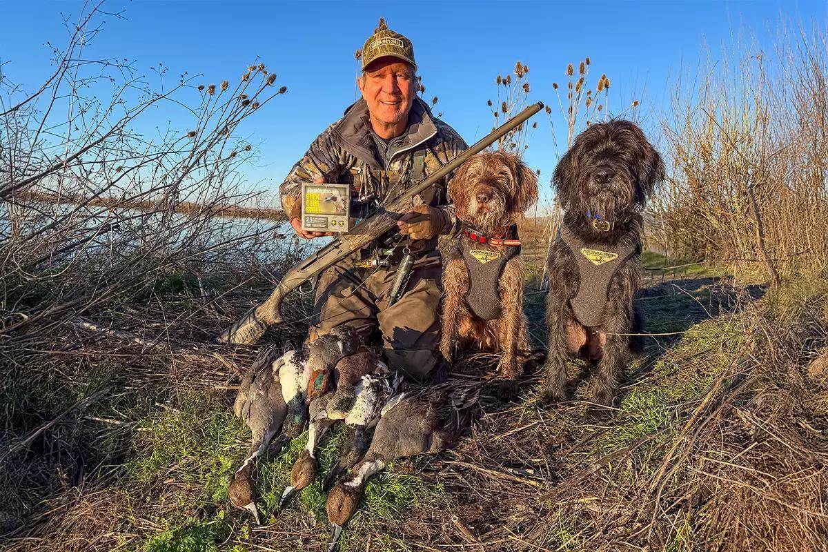 A hunter with an ammo box in hand and his dogs pose with harvested ducks 