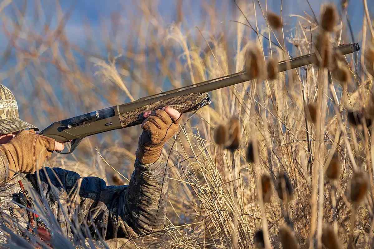 A waterfowl hunter aims a shotgun at passing waterfowl from tall grass. 