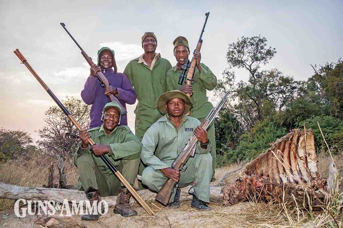 The Fight Against African Poaching