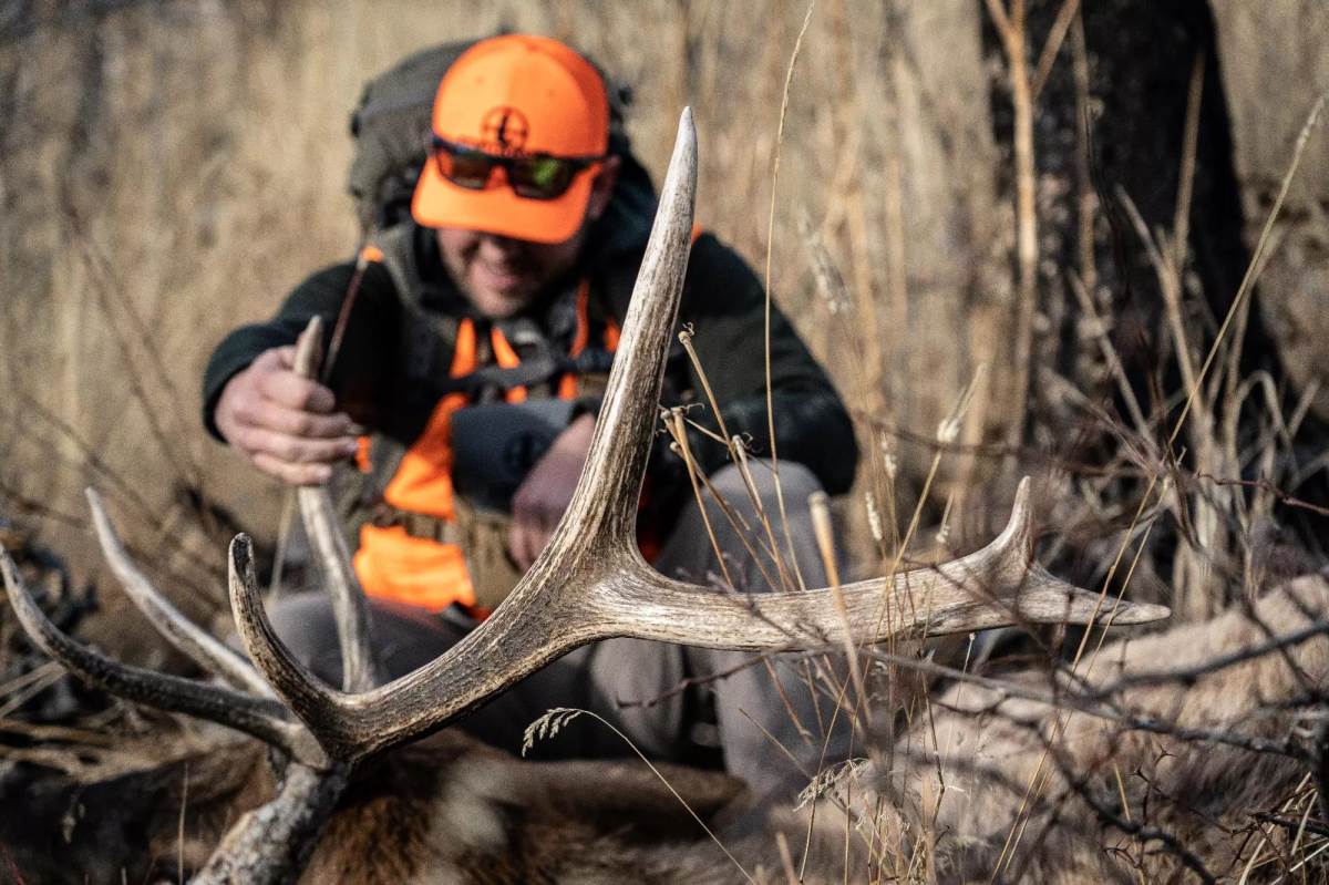 Fundamentals For Finding Elk Throughout The Year - Petersen's Hunting