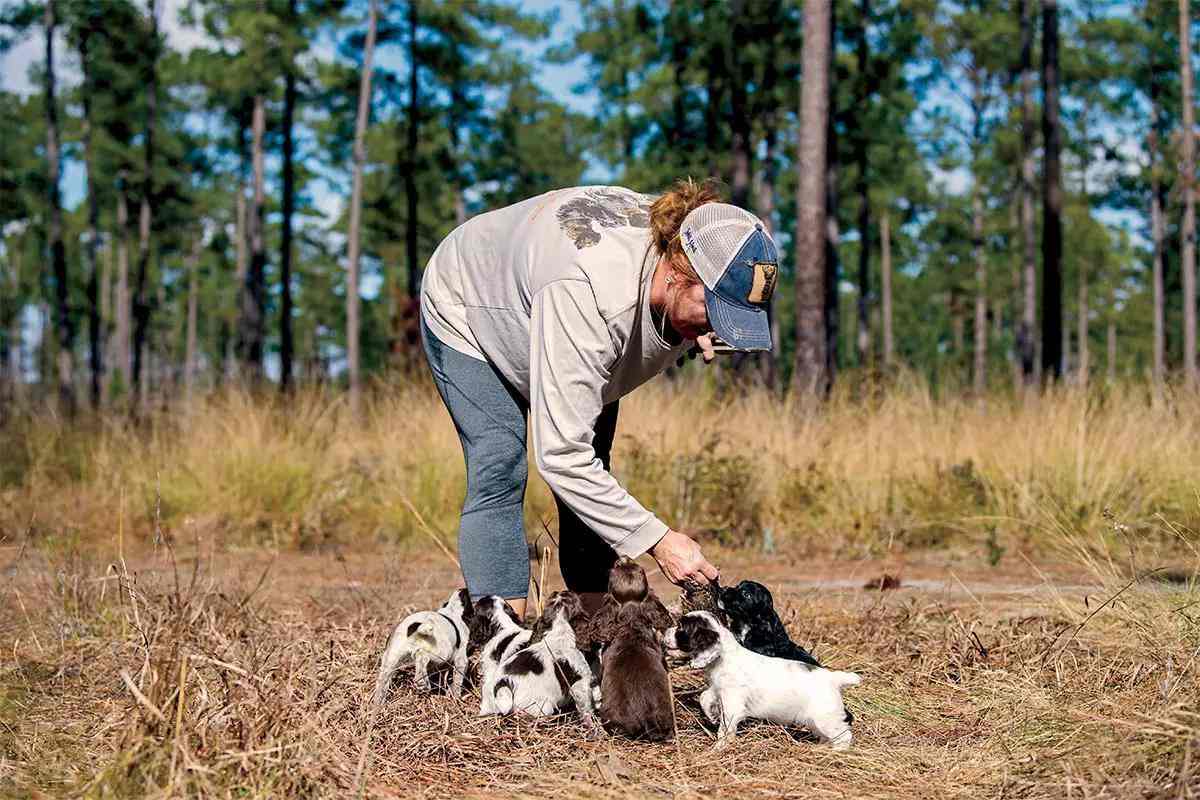 A woman holds her hand down interacting with a litter of puppies.