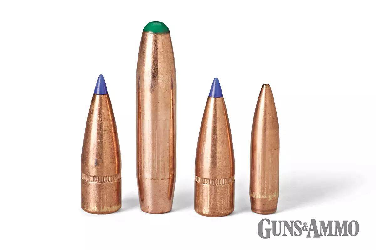 gaad-fiocchi-sbr-cov-05