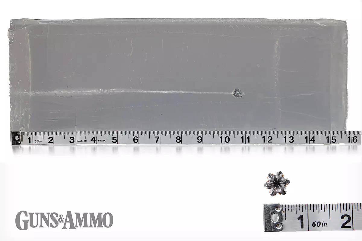 gaad-fiocchi-sbr-cov-07