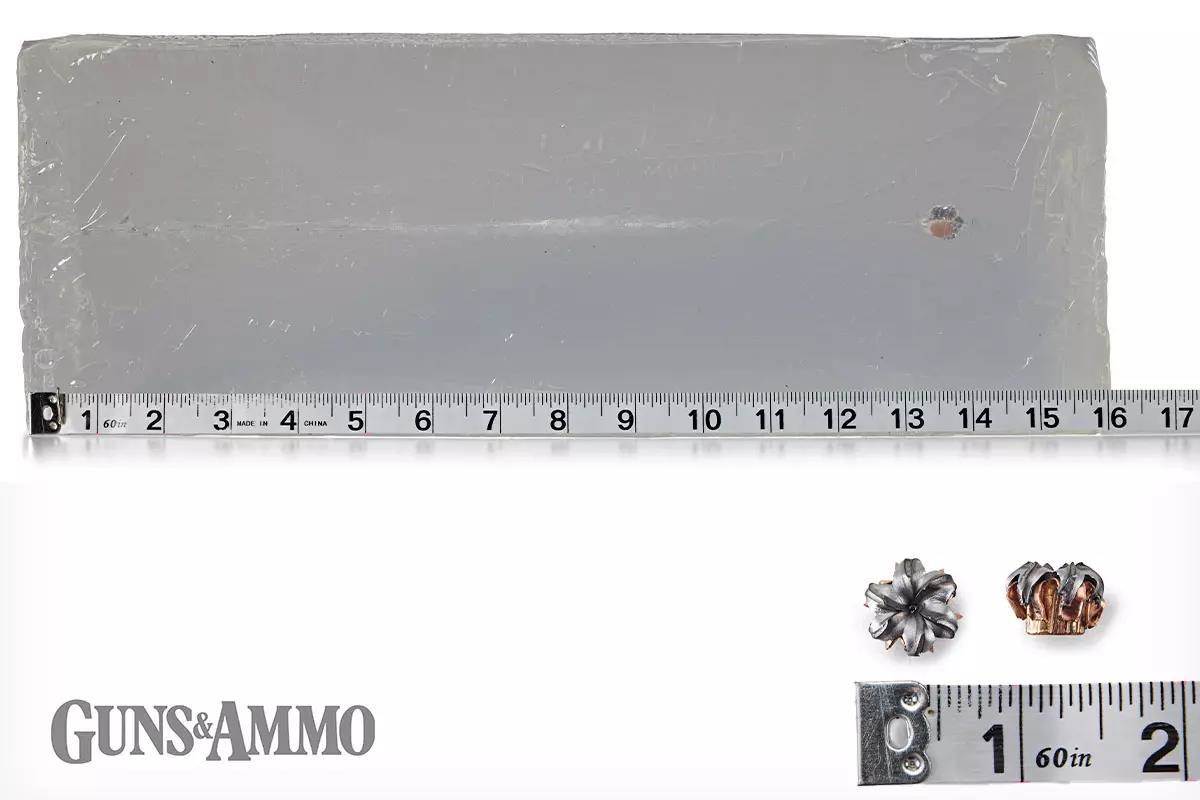 gaad-fiocchi-sbr-cov-08