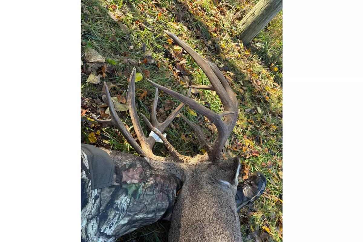 reverse angle of bucks massive antlers