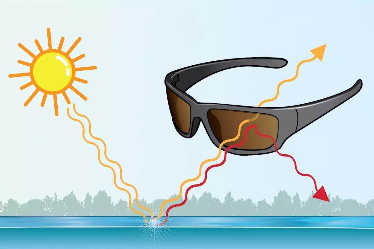 Made in the Shades: Polarized Lenses Are Critical Fishing Ge